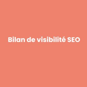 Audit SEO