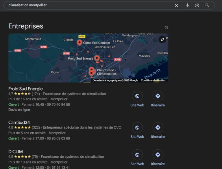 RequĂŞte SEO locale montpellier